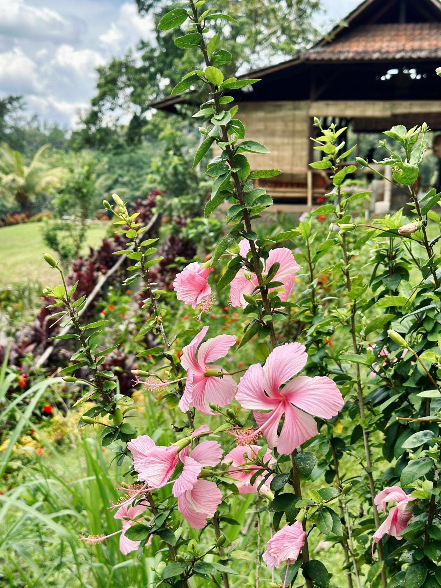 Sang Tirta Resort Penebel Exterior photo